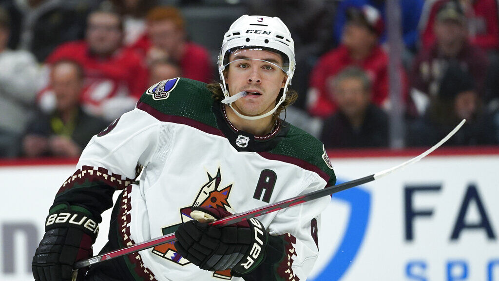 Arizona Coyotes